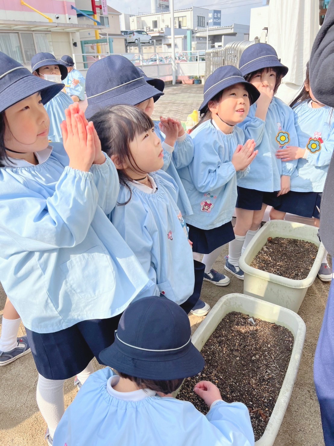 年中組 おおきくなあれ！｜藤井寺カトリック幼稚園｜学校法人大阪聖